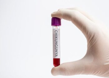 Chikungunya tem letalidade maior que dengue no Brasil