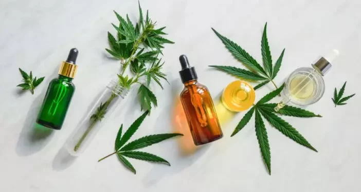 Farmacêutica produz extrato completo de Cannabis no Brasil