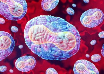 Mpox não é como a Covid-19, afirma OMS; entenda a diferença