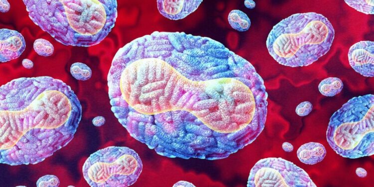 Mpox não é como a Covid-19, afirma OMS; entenda a diferença