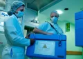 Doação de órgãos: conheça exigências e tire dúvidas sobre transplantes