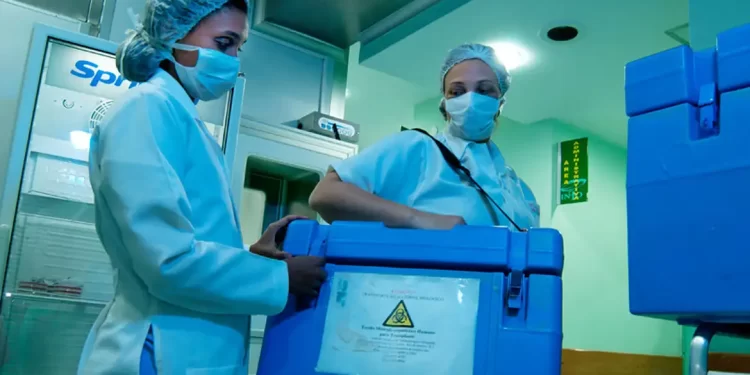 Doação de órgãos: conheça exigências e tire dúvidas sobre transplantes