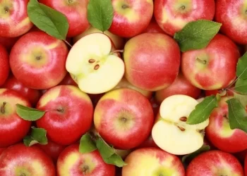 Confira 15 benefícios da maçã para saúde e como consumir