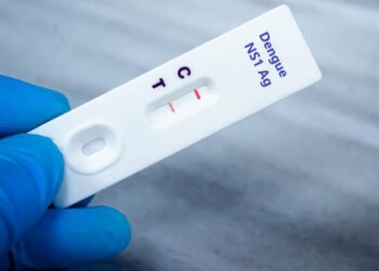 Queda de casos de dengue deve se manter até fim de novembro