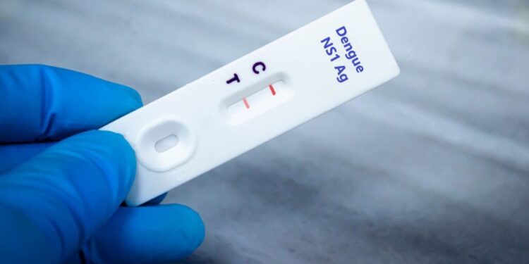 Queda de casos de dengue deve se manter até fim de novembro