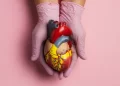 Doenças cardiovasculares aumentam entre jovens