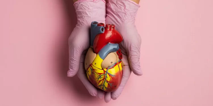 Doenças cardiovasculares aumentam entre jovens