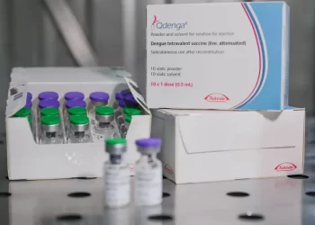 Fiocruz oficializa pedido para produzir vacina contra dengue no Brasil