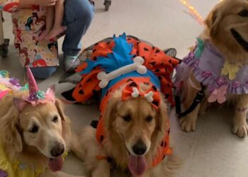 De vestido e asas de fada, cachorrinhas divertem crianças internadas em Hospital no Ceará