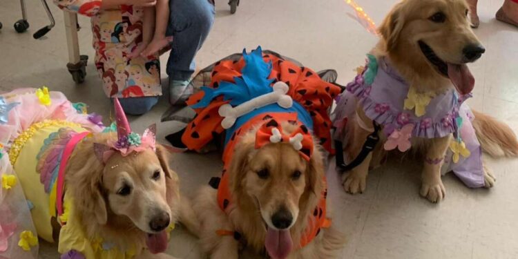 De vestido e asas de fada, cachorrinhas divertem crianças internadas em Hospital no Ceará