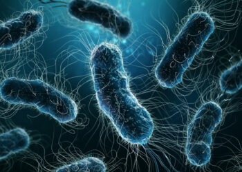 Quais são as bactérias mais perigosas do mundo?