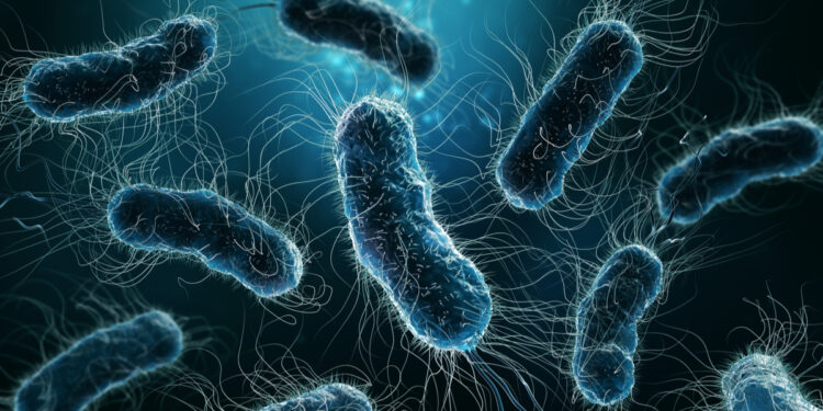 Quais são as bactérias mais perigosas do mundo?