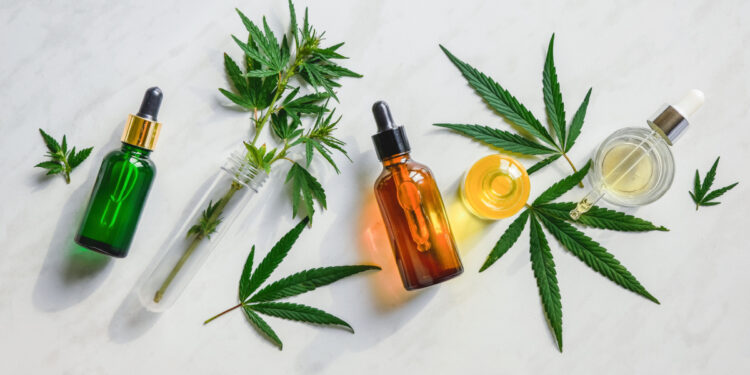 O que é cannabis medicinal e para que serve?