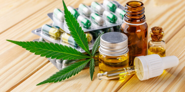 Cannabis medicinal tem projeção de crescimento no Brasil