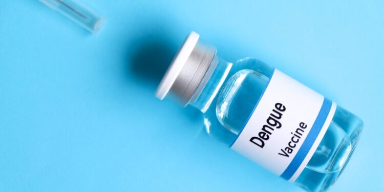 Dengue: quem pode tomar a vacina no SUS em 2025?