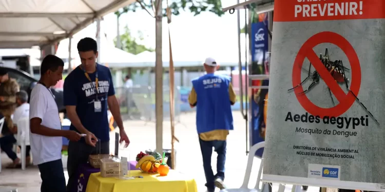 Casos de dengue no Brasil caem 60% nas primeiras semanas do ano
