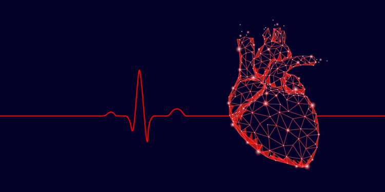 Consórcio desenvolve réplicas digitais de órgãos humanos