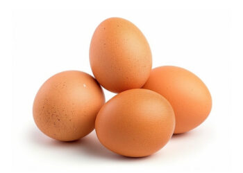 Ovo: herói ou vilão? Entenda os benefícios e malefícios