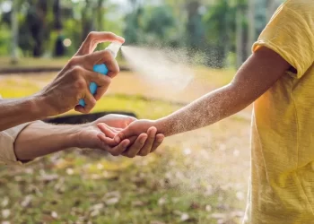 Repelentes: conheça os tipos, qual escolher e como usar