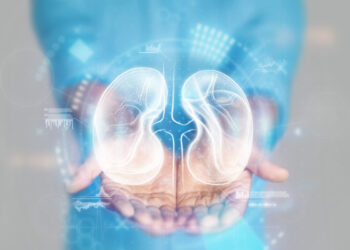 Conheça 7 hábitos comuns que podem prejudicar os rins