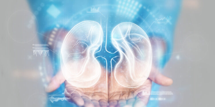 Conheça 7 hábitos comuns que podem prejudicar os rins