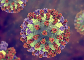 Influenza A supera Covid e lidera mortes em idosos por síndrome respiratória grave no Brasil