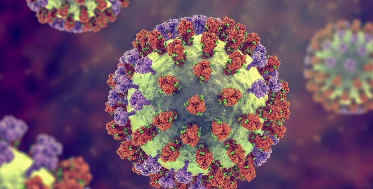 Influenza A supera Covid e lidera mortes em idosos por síndrome respiratória grave no Brasil