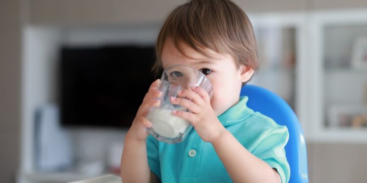 Crianças acima de 1 ano: fórmula infantil ou composto lácteo?