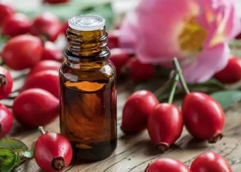 Rosa mosqueta: conheça seus benefícios na rotina de beleza