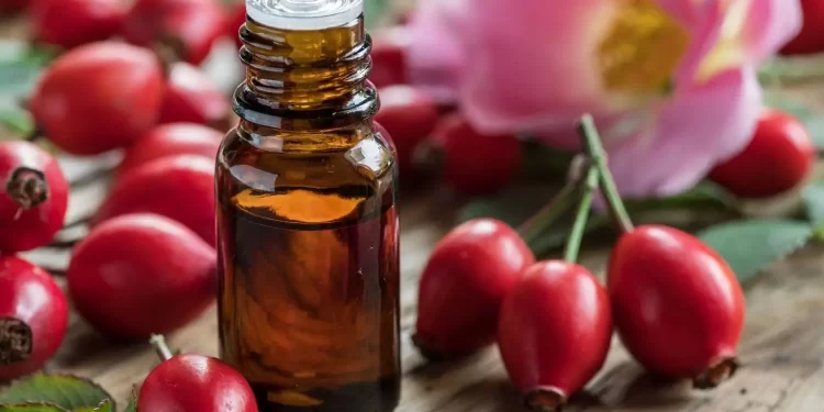 Rosa mosqueta: conheça seus benefícios na rotina de beleza