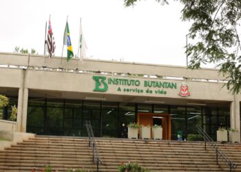 Butantan se prepara para testar vacina contra gripe aviária em humanos