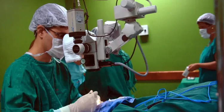 Câncer de intestino que vitimou Preta Gil é o 3º mais comum no país