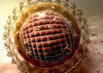 Hepatites virais: OMS alerta para avanço de casos e reforça urgência na prevenção e tratamento