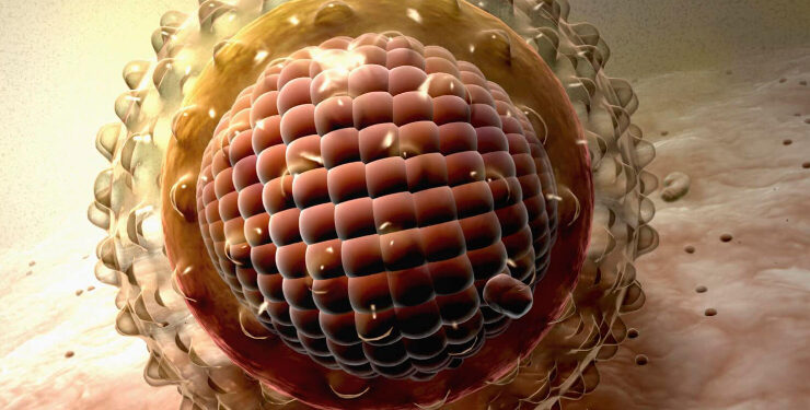 Hepatites virais: OMS alerta para avanço de casos e reforça urgência na prevenção e tratamento