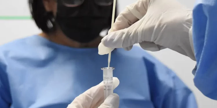 Casos de covid-19 estão em alta no Ceará, aponta Fiocruz