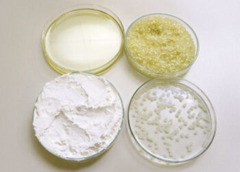 Composto à base de óleo de tomilho é eficaz no combate ao Aedes aegypti