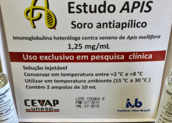 Brasil avança com primeiro soro do mundo contra picada de abelha