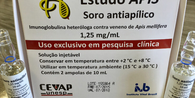 Brasil avança com primeiro soro do mundo contra picada de abelha