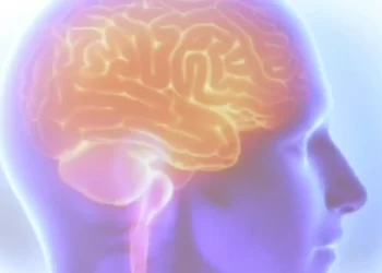 AVC mata uma pessoa a cada seis minutos no Brasil