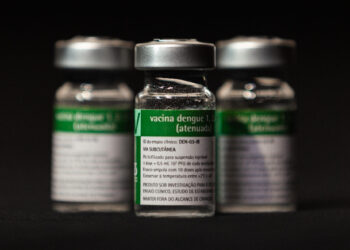 Vacina brasileira contra dengue deve receber aval da Anvisa ainda este ano