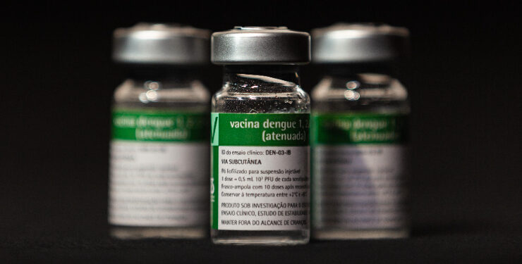 Vacina brasileira contra dengue deve receber aval da Anvisa ainda este ano