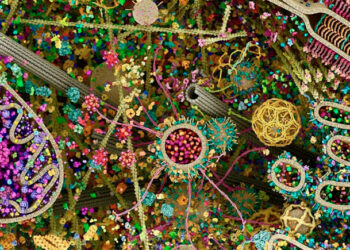 Imagem mais detalhada de uma célula humana feita por radiografia viraliza nas redes