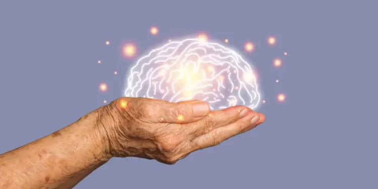 Cientistas criam primeiro modelo de tecido cerebral sintético