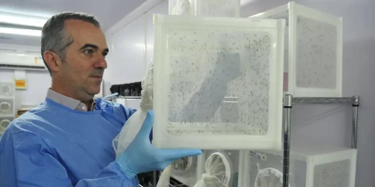 Brasileiro criador do “Aedes” que bloqueia dengue é eleito pela Nature