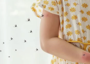 72% dos brasileiros já tiveram problemas na pele causados por picadas de mosquitos