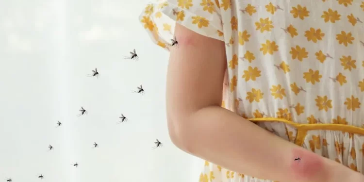 72% dos brasileiros já tiveram problemas na pele causados por picadas de mosquitos
