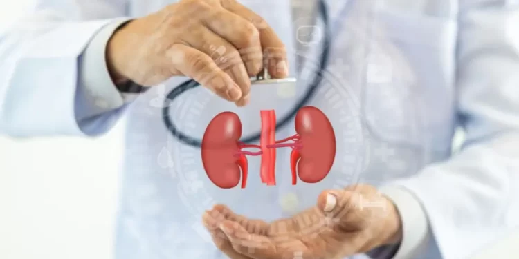 Apenas 10% dos brasileiros lembram que diabetes pode afetar rins