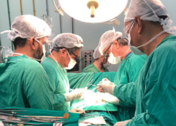 Ceará mantém crescimento de transplantes em 2025