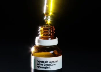 Anvisa define regras e amplia acesso ao uso de cannabis medicinal no Brasil