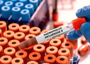 Novas epidemias: os vírus em que especialistas estão de olho em 2026